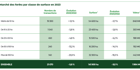 Investir dans un groupement foncier forestier en 2024 pour diversifier son patrimoine